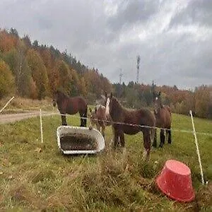 Ostrzycki Raj Tatil Evi Pierszczewo
